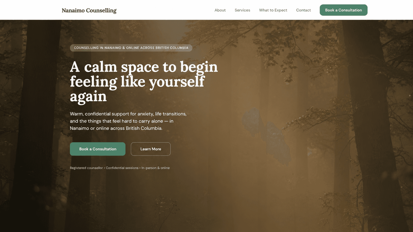 Counselling website homepage with calm consultation journey and support routes
